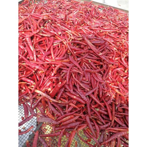 Single Herb Dried Whole Tianjin Red Chilies High SHU Spicy HACCP