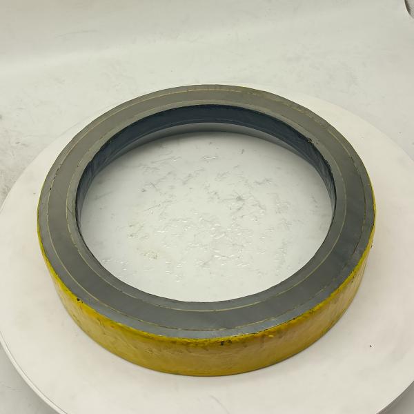 DN230 Putzmeister Concrete Pump Spare Parts Wear Plate DN180 DN200