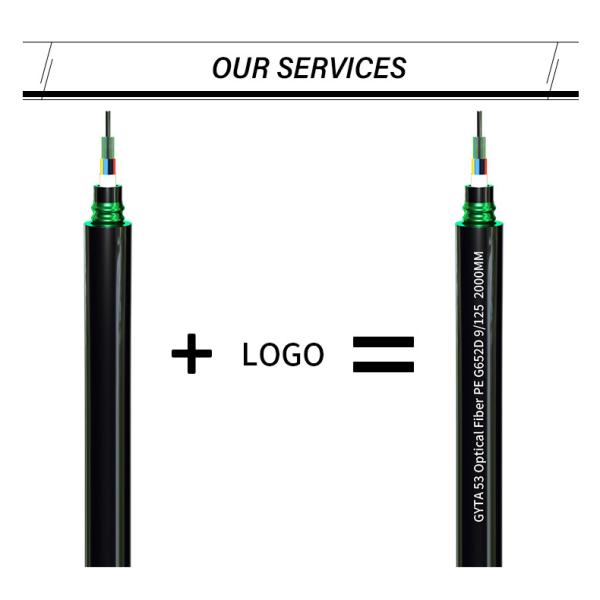 Number of Conductors ≥ 10 FTTH 2 Core Fiber Optic Drop Cable 1km GJYXCH with Custom Length