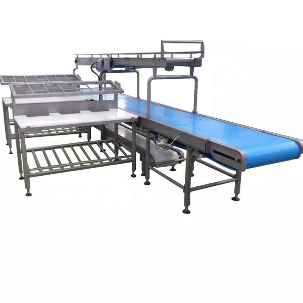 Chicken Duck Goose Poultry Slaughtering Line High Efficiency Stainless Steel 304