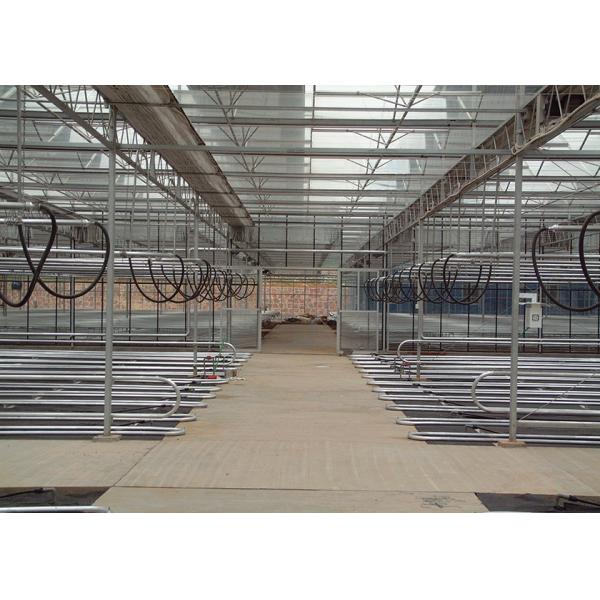 Heat & Cool Adjustable, Beautiful Good Looking VENLO Glass Greenhouses