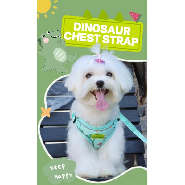 New dog leash small and medium-sized dog chest harness cartoon dinosaur dog walking rope reflective pet chest harness
