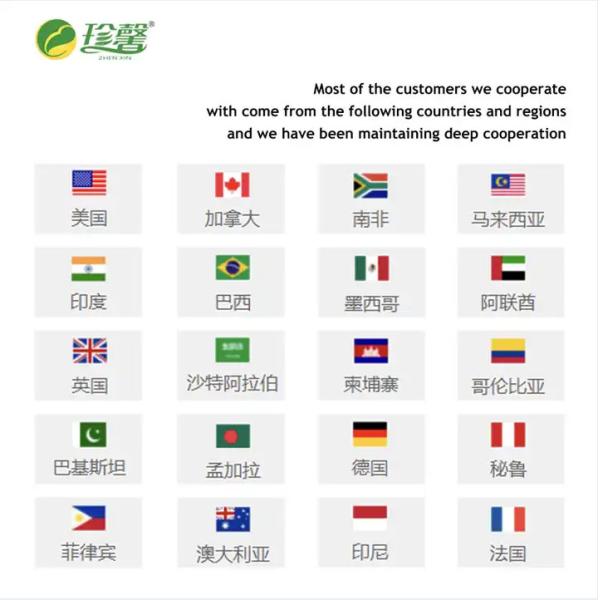 Famous NEW Brand Pure Fragrance Oil For Candle Making Vanilla Candles Essential Oil Bulk Fragrance