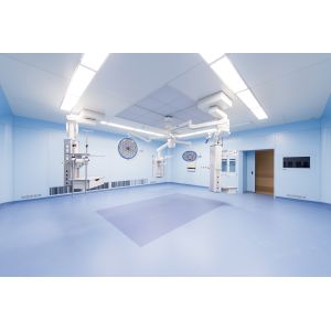 Cheap Hospital Laminar ceiling lamp wholesale