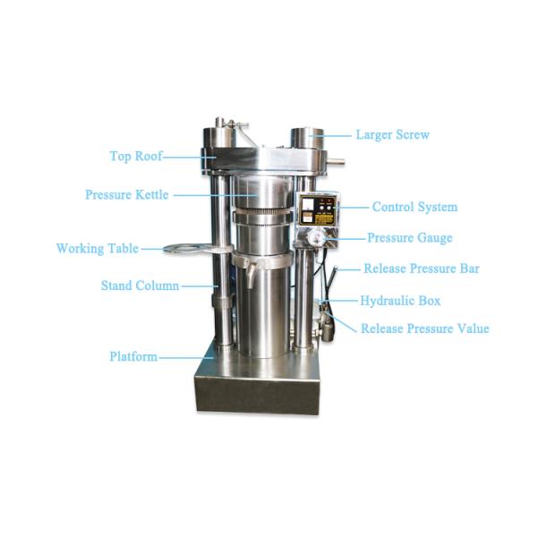 Heavy Duty Hydraulic Press Machine For Avocado Oil Production High Efficiency