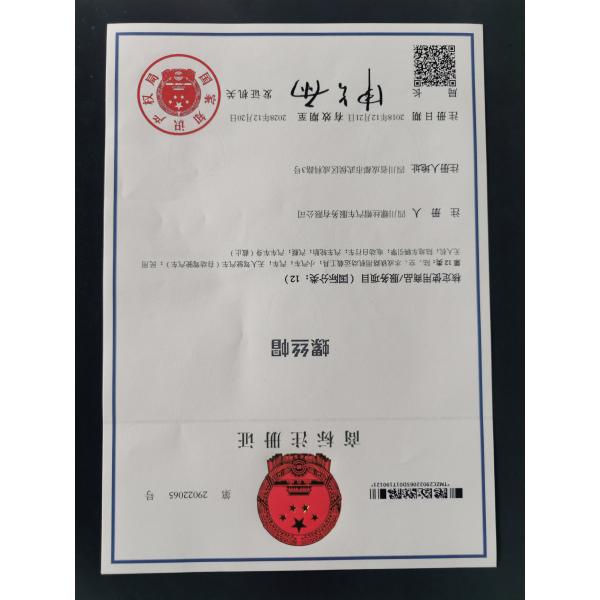 Other Exterior Accessories Advance Auto Parts front shocks absorber and struts set complete assembly for vehicle