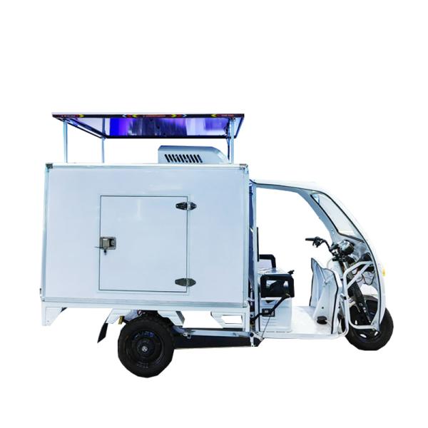 Refrigerated Cargo E Trike 3 Wheel Electric Delivery Trike Truck PEUGEOT Fitment
