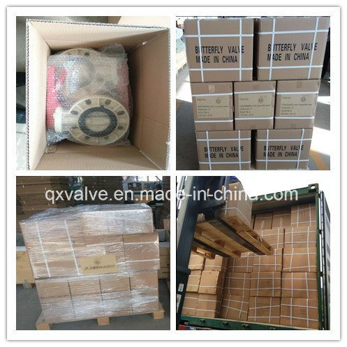 PVC Butterfly Valve Pn16 with Customized Request and Normal Valve Stem