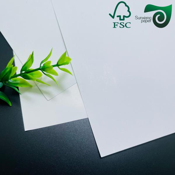 FSC 280gsm 310gsm 330gsm C2S Double Glossy Art Paper Blue Black Core