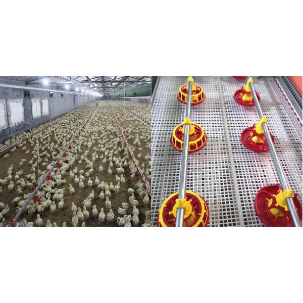 3 Lines Raising 30000 Broiler Equipment Prefab Poultry Closed House
