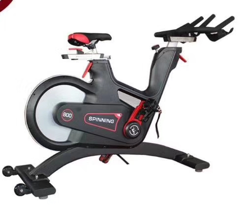 Home Indoor Cycle Spin Bike Commercial Fitness Cardio Training Exercise