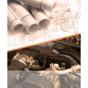 Ziyou Innovation Trading Co., Ltd.