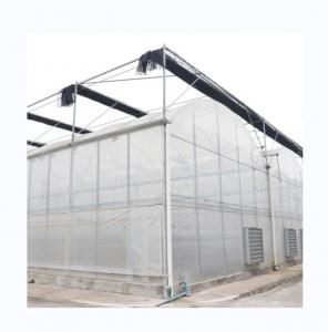 Cheap Multi Span Agricultural Film Greenhouse With Super Strong Resistance wholesale
