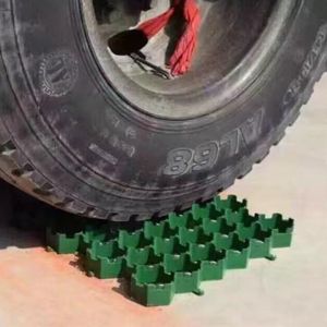 Cheap Heavy Duty Horse Paddock HDPE Plastic Grass Grid Pavers ODM wholesale