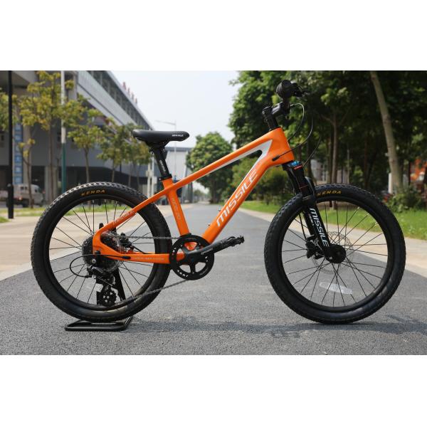 20 Inch 7 Speed Small Kids Children Exercise Bike Kids Bicycle Children Bike And Cost