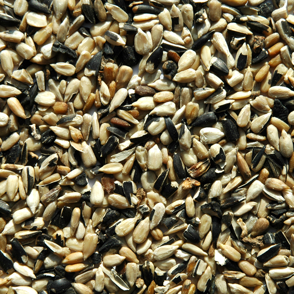 Seeds Optical Sorting Machine Vegetable Tomato Sesame Seed Color Sorter Separator Machine