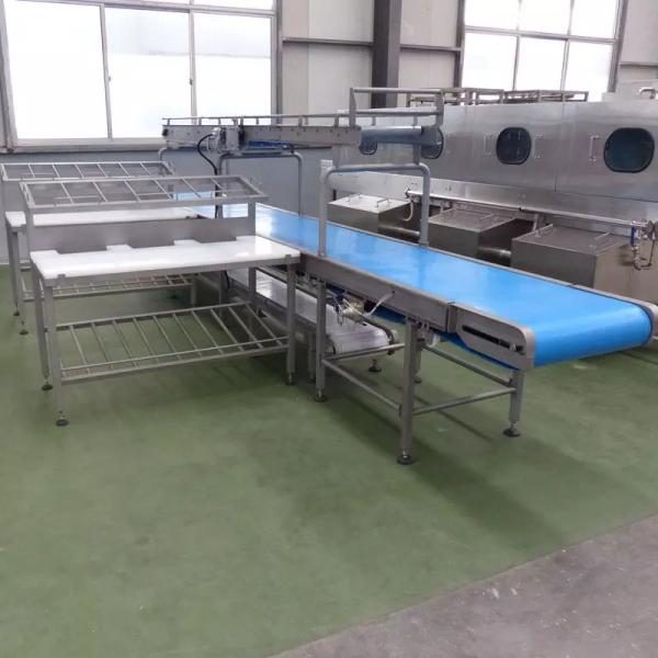 Chicken Duck Goose Poultry Slaughtering Line High Efficiency Stainless Steel 304