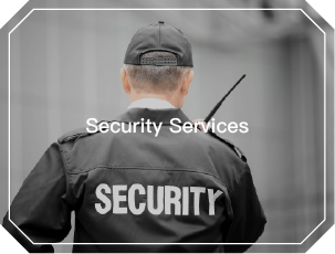 Professional Wireless Detector Anti GPSGSM Wifi Digital Radio Frequency Detector 50MHz-8GHZ