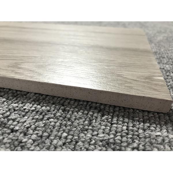 Modern Porcelain Tile Flooring Wood Look Full Body Garden