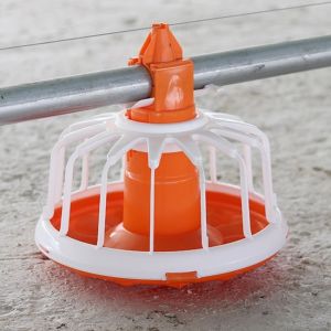 Cheap Auto Pan Feeder Steel Broiler Poultry Equipment wholesale