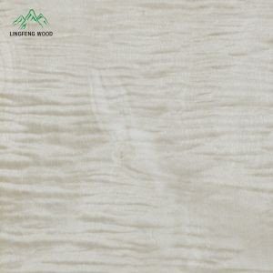 Maple Figured Veneer 0.45mm | LINGFENG