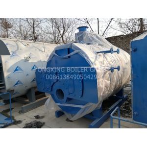 Stainless Steel Gas Fired Steam Boiler Multiple Protection Industrial Natural