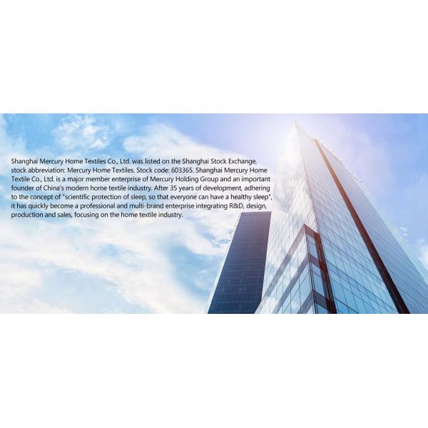 All-Season Home Textile Duvet Quilt Thickened Warm Taffeta Winter Quilt with Comforter