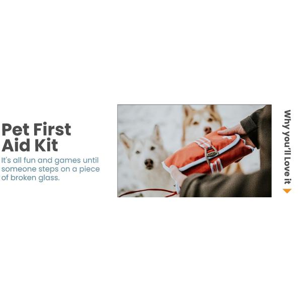 Kurgo pet first aid kit. it's all fun and games until someone steps on a piece of broken glass