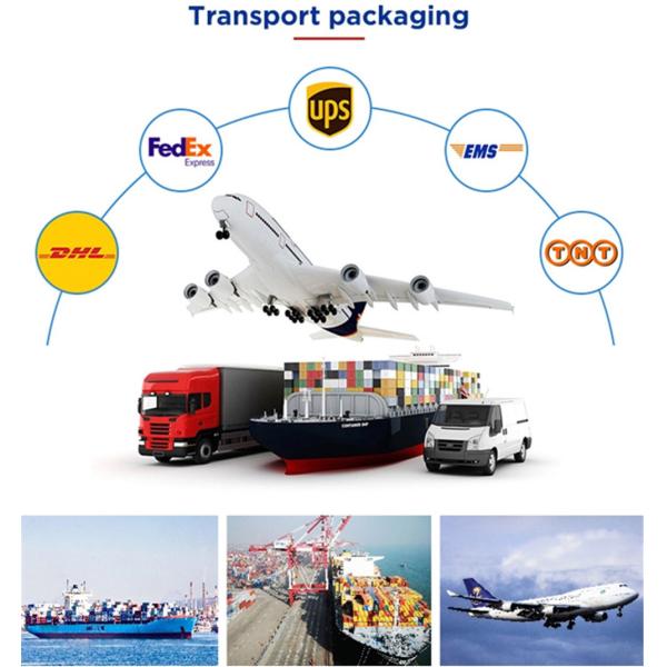 0.8T Small Digger 1 Ton Mini Excavator Machine With Rubber Track