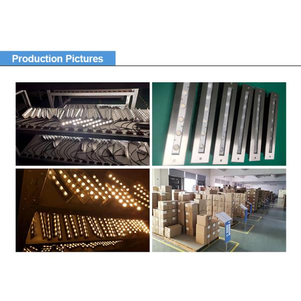 SS316L Underwater Linear Pool Light Warm White LED L195mm 3W 6W DC24V Asymmetrical Lens