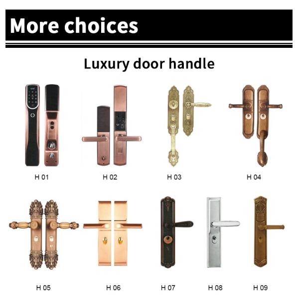 Modern Style High Quality Cast Steel Easy Pattern Power Coated Surface Swing Door for Villa