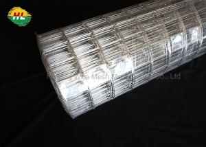 Cheap cold Galvanized 16GA Welded Wire Mesh Rolls 2x3 inch for Home Garden Fence wholesale