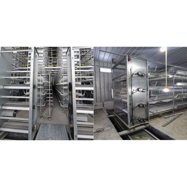 1.2mm Poultry Manure Removal System