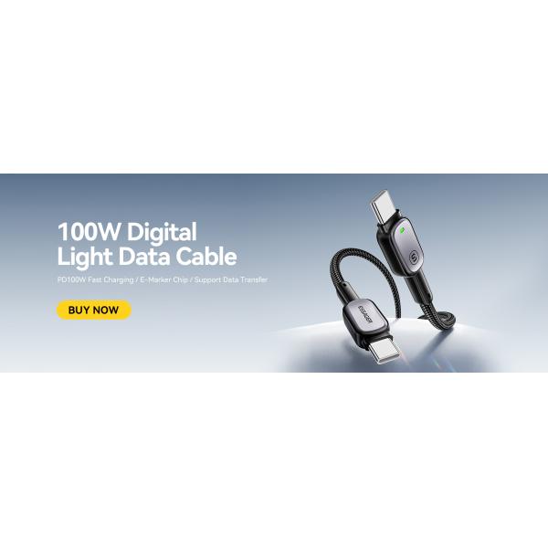 ESSAGER ES-X66 Series 60W 100W USB C to USB C Cable Fast Charging and Data Transfer