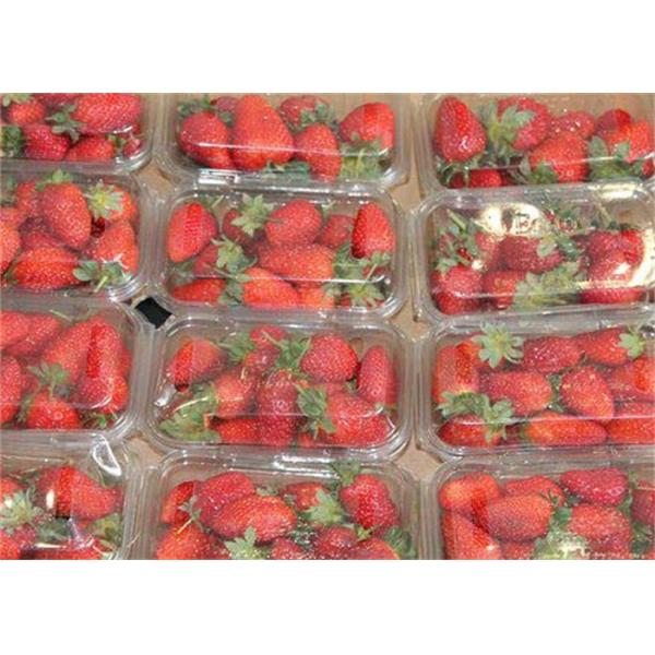 Clear PET Sheet Film Roll Blister Electronic Device Packaging Clamshells