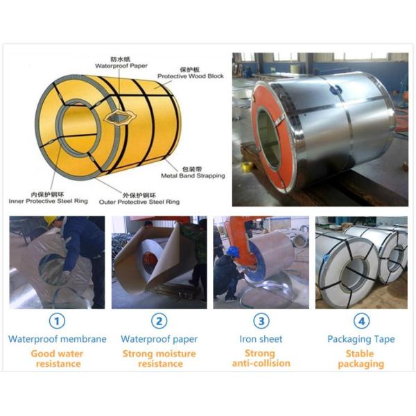 Z100 0.3mm Hot Dipped Galvanized Steel Coil Prepainted Zinc Iron