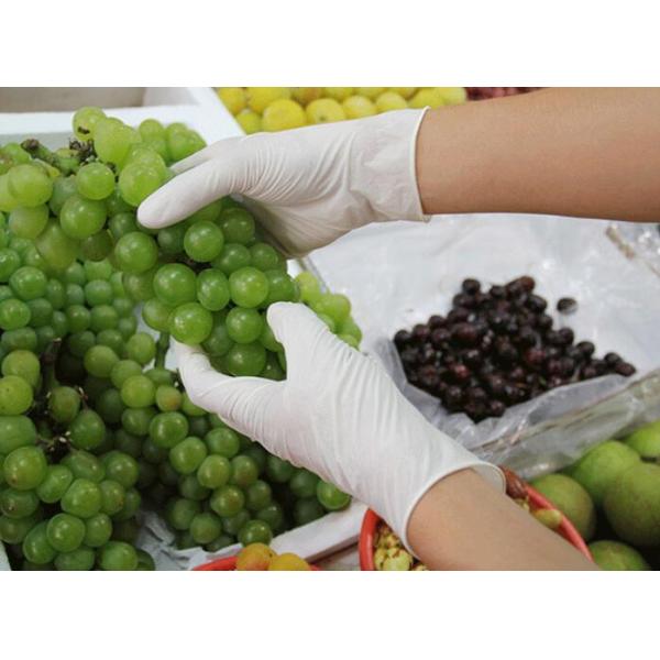 Durable White Medical Gloves , Eco Friendly Household Disposable Latex Gloves