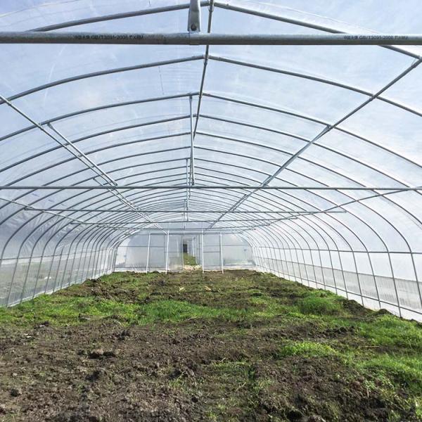 Agricultural Plastic Film Greenhouse Large Size High Latitude Area Ecological
