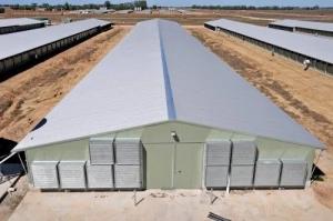 China Prefabricated Metal Steel Poultry House Industry Steel Structure on sale