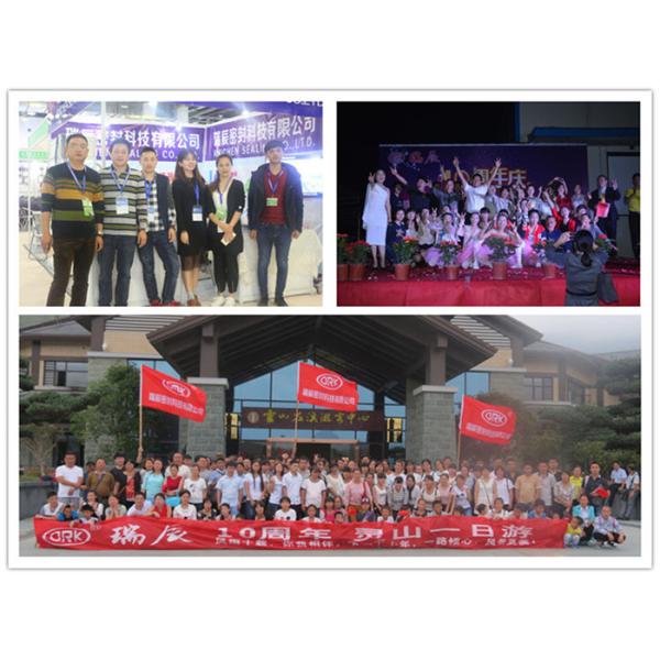 Small Cross Section NBR Nitrile Rubber Meter Seals Red and Black