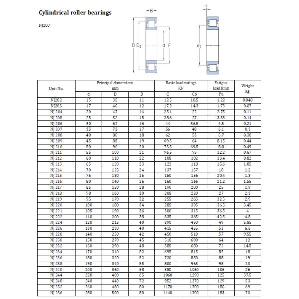 NJ200 Series Cylindrical Needle Roller Bearing NJ206 NJ208 NJ210 Single Row