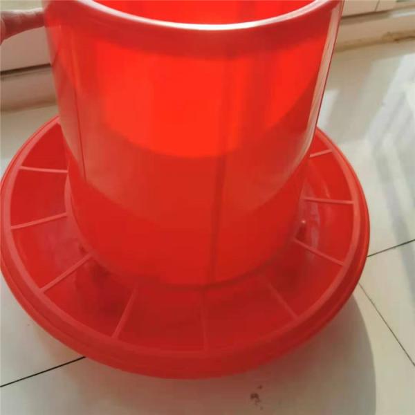 Broiler Duck Quail Bucket Poultry Feeder Drinker