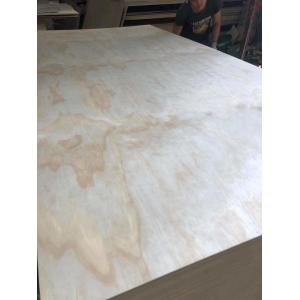 Uv Pine Veneer Laminated Plywood, Cabinet Grade Pine Plywood, UV Coated Pine