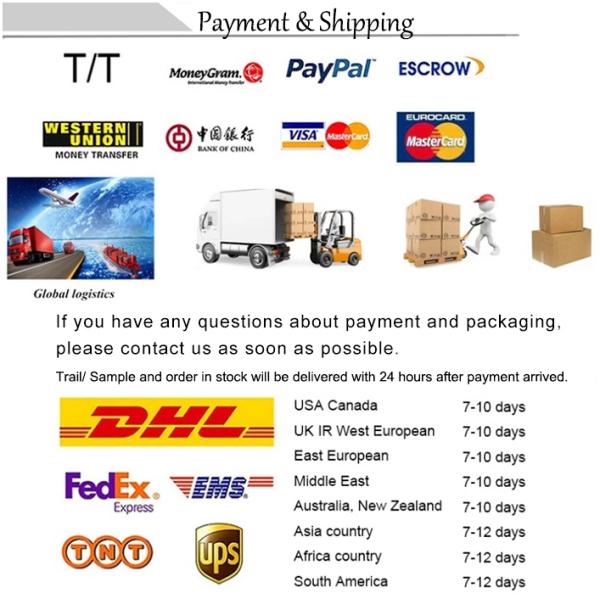 High Precision 1g Graduation 5kg Capacity Digital Kitchen Diet Weighing Scale with Custom Logo Design and LCD Display