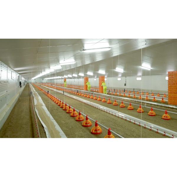 Galvanized A Type Chicken Cages Layer Poultry with ISO9001 2008/CE/BV Certification