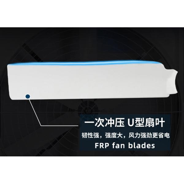 DHF FRP industrial greenhouse big size factory exhaust fan for industrial use workshop exhaust fans ventilation fan