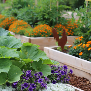 landscape fabric, weed barrier, ecogardener, ecogardener landscape fabric