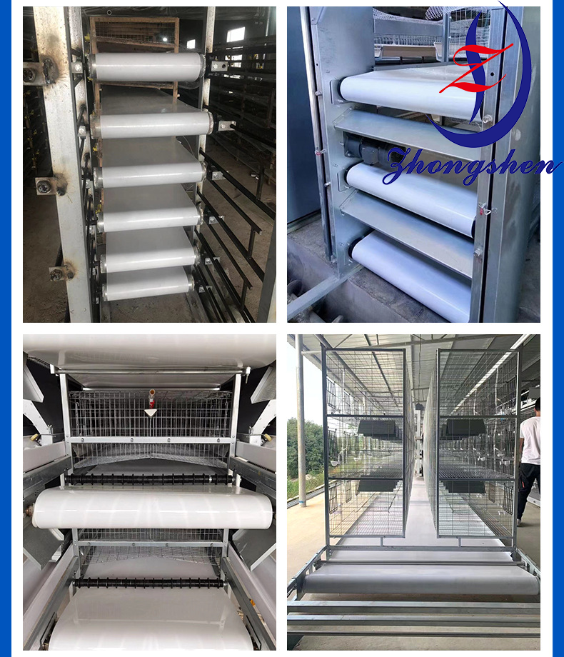 Cheap Manure Removal Cleaning Belt For Poultry Farm Equipment Broiler/Layer Chicken Cage wholesale