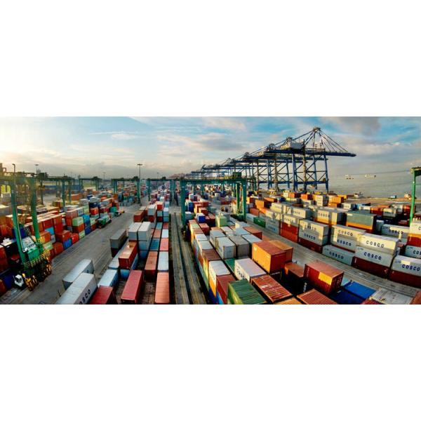 100% Virgin Wood Pulp 300g Cardboard Paper Roll / Ivory Board Paper For Book Cover