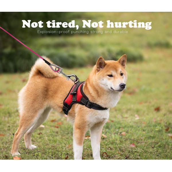 1.8 - 2.0mm Spring Hook Pet Tie Out Cable , Stainless Steel Dog Training Leash